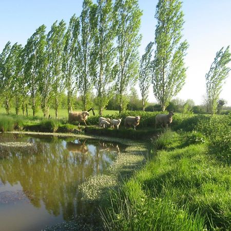 PerigneLa Ferme De Magnantru住宿加早餐旅馆 外观 照片